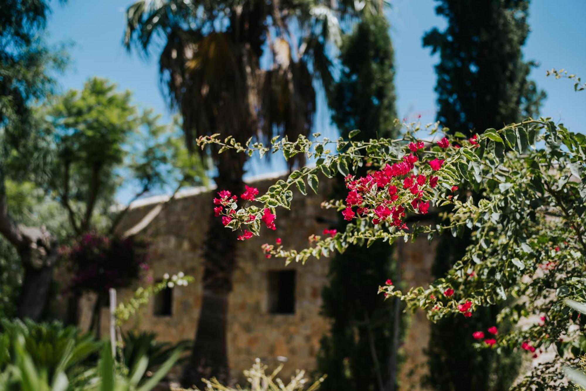 קאלה טרידה Villa & Guesthouse Paissa D'En Bernat מראה חיצוני תמונה
